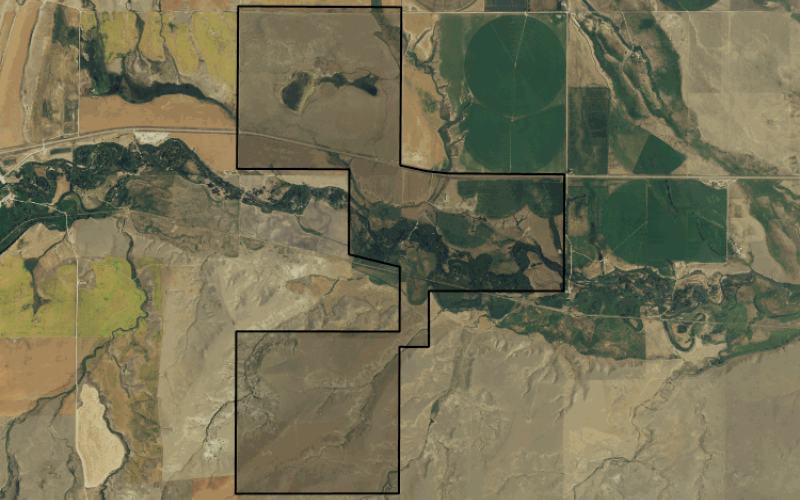 john ranch at project orbis international inc. john ranch at project orbis international inc.