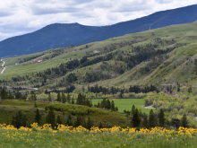 Belt Creek Ranch Auction