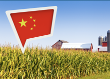 Webinar: Foreign Ownership Of U.S. Farmland - Overview Of State And Federal Regulations 