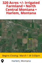 Online Auction - 320 Acres +/- Irrigated Farmland