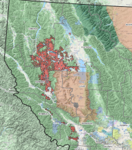 Weyerhaeuser Company Timber Sale in Montana