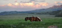 Matador Beaverhead Ranch sells