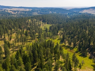 Divide Mountain Ranch