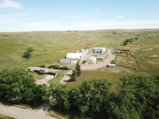 Roosevelt County Irrigated Farm