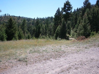 Map of 25575 Patter Spur Road: 218 acres East of Clinton