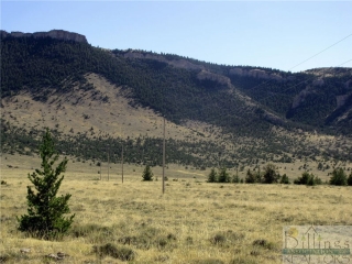 Awwakkula Trail - 278.16 Acres