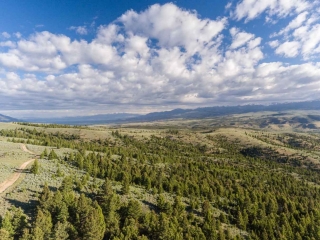 MTX Ranch