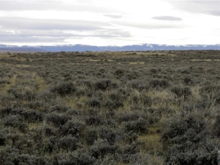Cottonwood Road
