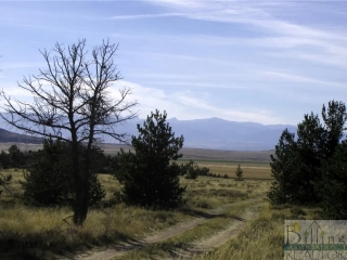 Awwakkula Trail - 278.16 Acres