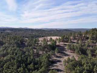 Map of Parrot Creek: 420 acres SE of Roundup