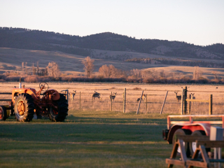 North Fork Of The Smith River 80