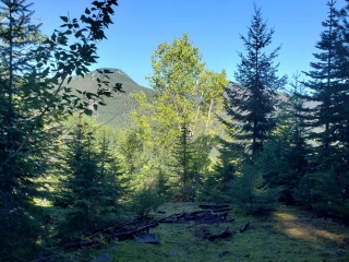 206 Acres Silver Butte Road