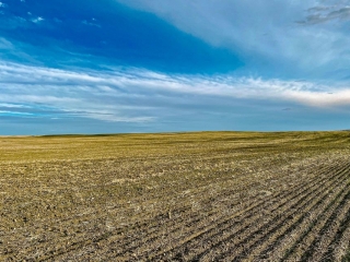 Baker Wheat Farm
