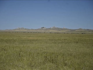 Online Auction - LO Ranch Dorsett Place