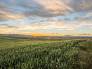 Rahn Silver Sage Ranch SE Parcel