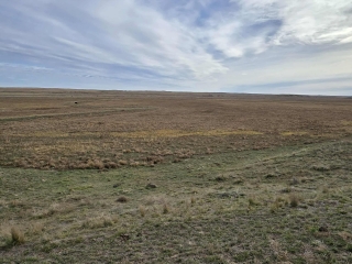 Map of East Two Furrow Road: 440 acres NE of Cohagen