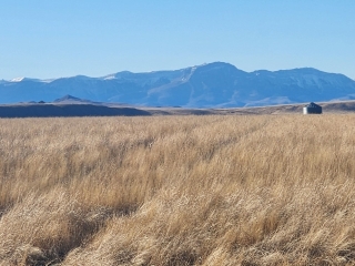 Rolloff Site Road