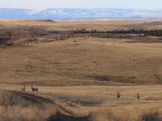 Map of The Tongue River Divide: 880 acres South of Birney