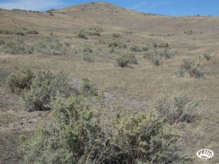 Large Acreage With Big Sky Views And Easy Access