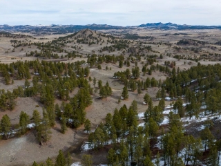 Brewer Quarter Horse Ranch