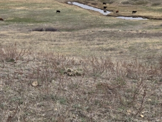 Map of Woods T Bar 6 Ranch: 2880 acres SE of Terry