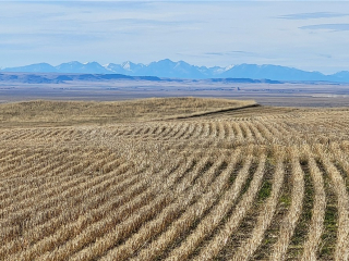Map of 640 Acres Molt Rapelje Road: 640 acres East of Rapelje