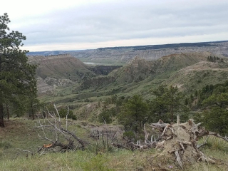 Map of Little Bullwhacker Grazing & Milk River Montana Hay Base: 535 acres West of Harlem