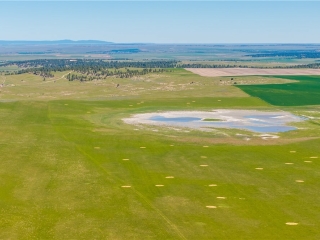 Big Sink Dry Farm