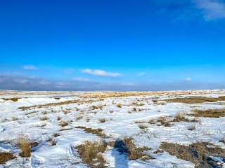 South Phillips County Grasslands Cattle Ranch