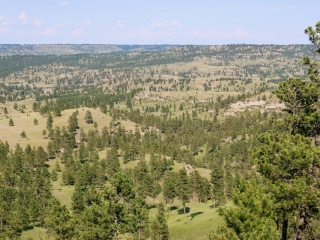 Map of Pine Ridge Sanctuary: 640 acres SE of Pompeys Pillar