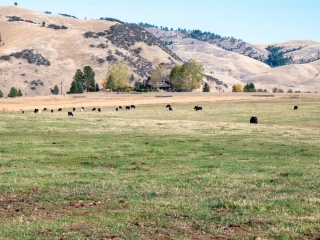 Two Feathers Ranch