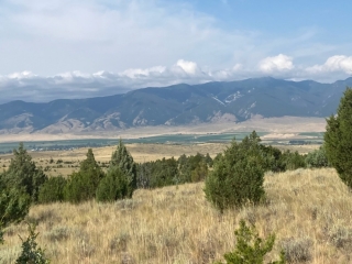 219.81 Acres - Mill Gulch Road