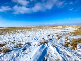 Taylor Ranch