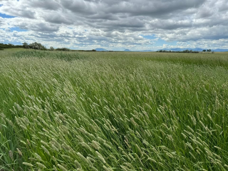 Map of Bird Hunting Paradise: 420 acres East of Fort Benton