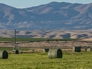Map of Spring Creek Farm: 580 acres NE of Dillon