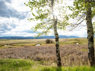 Nevada Spring Creek Ranch