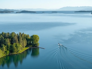 Bird Point