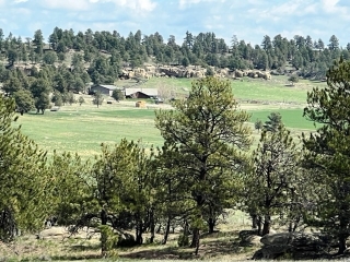 Buffalo Creek Ranch