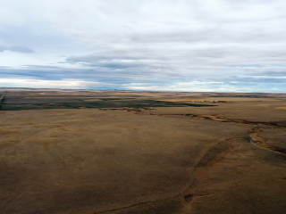 Auction - 1,120 acres
