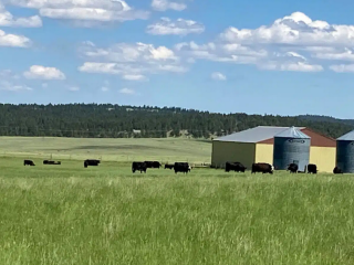 Hoyt Ranch Home Parcel
