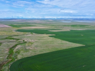 Map of  South 320 Acres Molt Rapelje Road: 320 acres SE of Rapalje