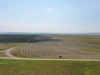 Dry Farmland in Golden Valley County