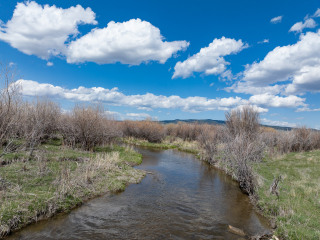 North Fork Of The Smith River 80