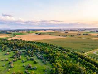 Map of Savage Bottomlands: 189 acres NE of Save