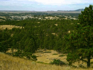 Anchor Ranch