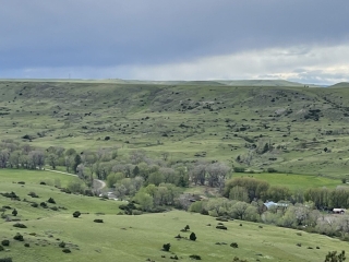 Cross M Ranch