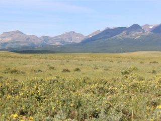 Map of East Glacier Meadows Ranch: 758 acres East of East Glacier