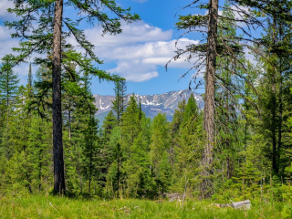 Map of Lindbergh Lake Road: 285 acres South of Condon
