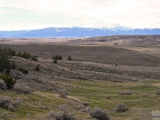 320 Acres Selms Road