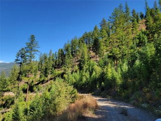 Shryock Gulch Tract